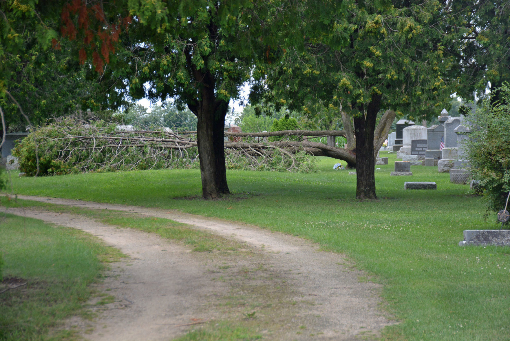 DSC_1610.jpg
